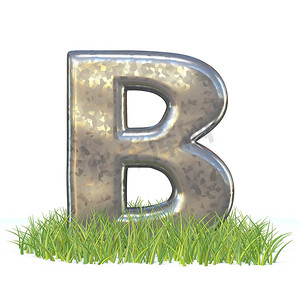 春天的字体摄影照片_草 3D 中的镀锌金属字体字母 B