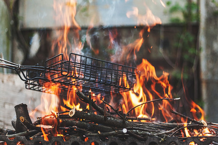 木柴和烧煤的树枝在火盆里烧尽了。