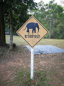 照片中的警告牌和泰语意思是“警告大象”