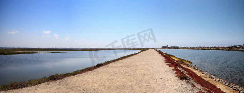 沿着 Bolsa Chica 湿地宁静的沼泽小路