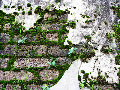 红土石纹理上长满青苔的古色古香的废墟墙