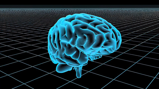 人脑的 3D 动画无缝循环
