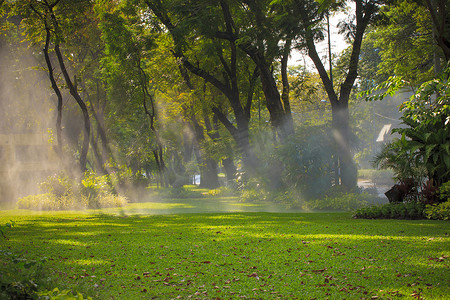 泰国曼谷公园花园洒水器的雾气