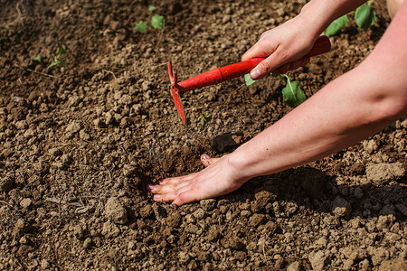 女人手上的细节，用小锄头挖洞在花园里种苗。