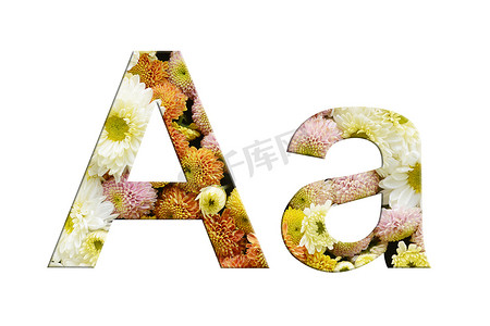 字母 A 和 a，白色背景上花朵的孤立字母