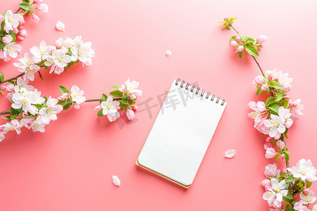 粉红色背景上盛开的春天樱花，带有记事本空间，用于问候信息。