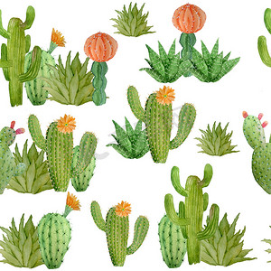 水彩手绘无缝图案的热带墨西哥仙人掌仙人掌多肉植物。