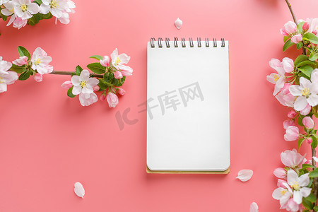 粉色春天模板摄影照片_粉红色背景上盛开的春天樱花，带有记事本空间，用于问候信息。