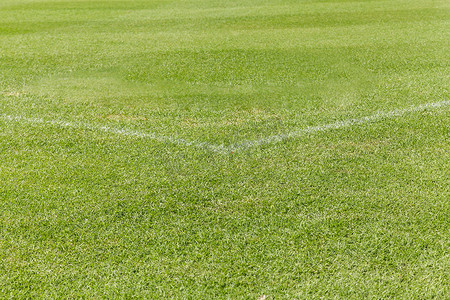 足球草坪图案摄影照片_足球场上的绿草