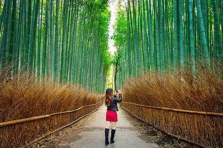 一位女士在日本京都的竹林里拍照。