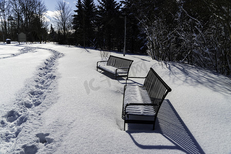 公园里的两条冬季长椅