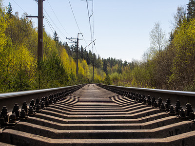 林带中的单轨铁路。