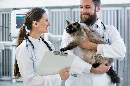 宠物诊所 ICU 的兽医医生将猫病人抱在怀里