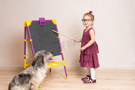 小女孩老师在学校和她的狗玩耍，并展示她的英文字母。