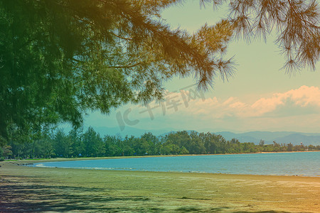 马来西亚沙巴州丹绒阿鲁海滩的树叶映衬着蓝天。