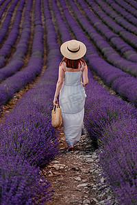 迷人的年轻女子，戴着帽子，穿着白色的裙子，在紫色的薰衣草田里。