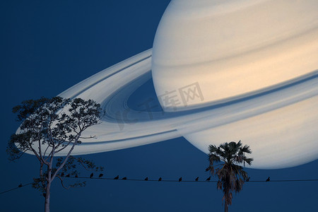 土星行星背面剪影鸟在电力线路和 b