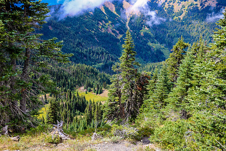 奥林匹克山脉的美丽景色，奥林匹克国家公园，华盛顿州，美国。