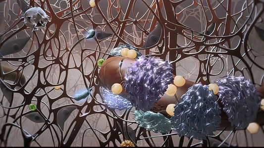 保护免疫系统的微生物学插图细胞