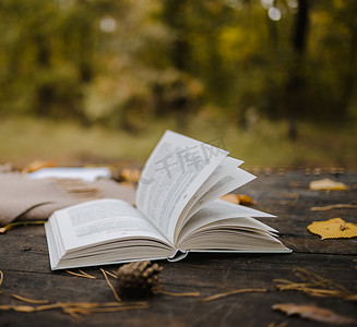 秋季公园里一张旧木桌上放着一本打开的书、一块格子布、一个带灯的花环、一杯黄叶和索斯锥体。