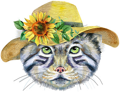 向日葵水彩摄影照片_白色背景中戴着夏日帽子的曼努尔猫的水彩肖像