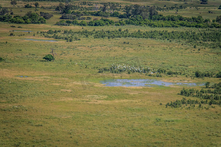 湿地公园图片摄影照片_奥卡万戈三角洲的航拍图片。