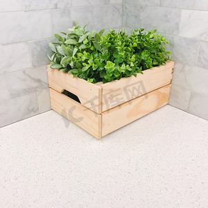 厨房角落木箱里的绿色植物