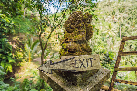 大自然背景下的巴厘岛雕像和出口标志