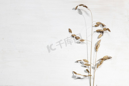 纸上花摄影照片_空白纸名片，黑麦上有样机复制空间，米色背景上的小麦秆。