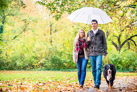 秋雨中带着狗散步的女人和男人