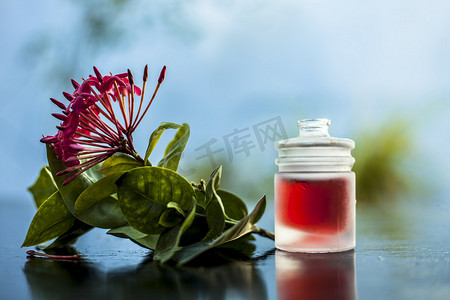 木质表面上红色五角花或埃及星花或茉莉花的特写，其提取的精油装在透明瓶中。