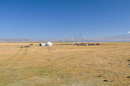 吉尔吉斯斯坦的蒙古包