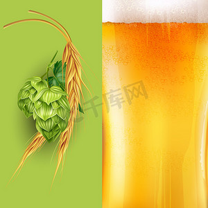 啤酒剪贴画摄影照片_啤酒花、麦芽和啤酒插图