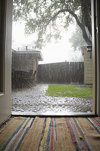 下大雨摄影照片_后院下大雨
