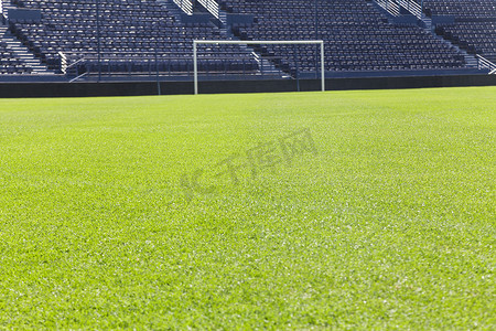 足球场上的绿草