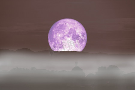 全紫色鱼月回到云雾上山夜 sk