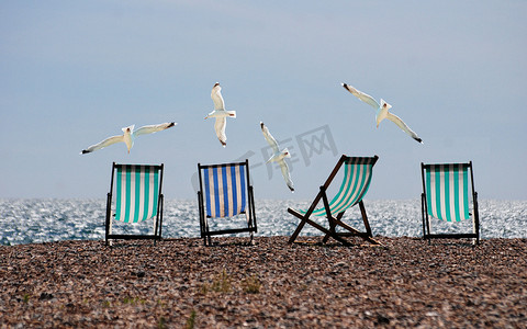 沙滩上的椅子与飞鸟