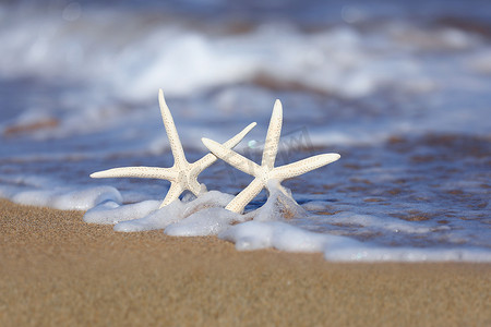 海星在沙滩上与海泡沫波