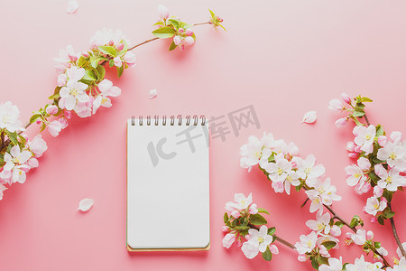 粉红色背景上盛开的春天樱花，带有记事本空间用于留言。