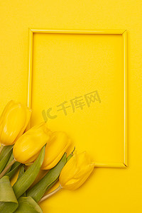 郁金香和黄色背景上的框架。 