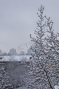 有积雪的树枝和冰屋顶房子的冬天街道