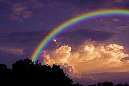 彩虹在日落的天空背面剪影干树枝树