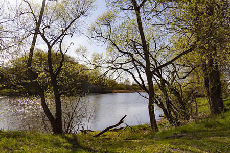 早春的自然景观与树木和水。
