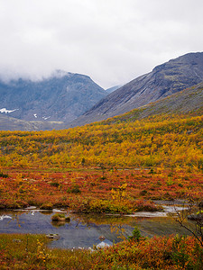 在多云天气的背景山峰上的秋天五颜六色的苔原。