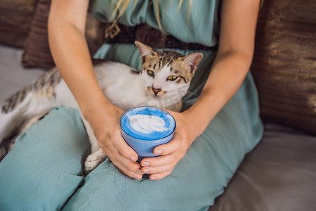 年轻女子坐在沙发上享用地中海早餐，和她的猫一起喝着时髦的饮料：蓝拿铁。