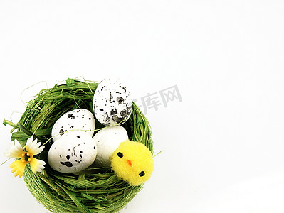 复活节鸡和鸡蛋在巢里。