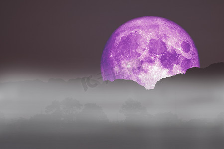 全紫色鱼月回到云雾上山夜 sk