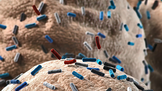 乳酸菌摄影照片_不同形状的细菌，杆状细菌和球菌，人体微生物组，人体致病菌，