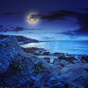 花朵月亮摄影照片_晚上海边的巨石上有黄色的花朵