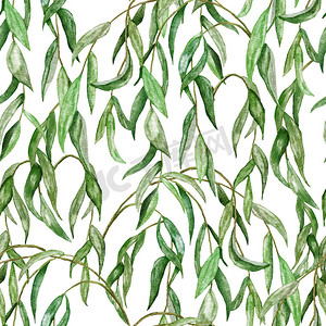 绿柳叶摄影照片_水彩无缝手绘图案与绿柳叶枝叶。